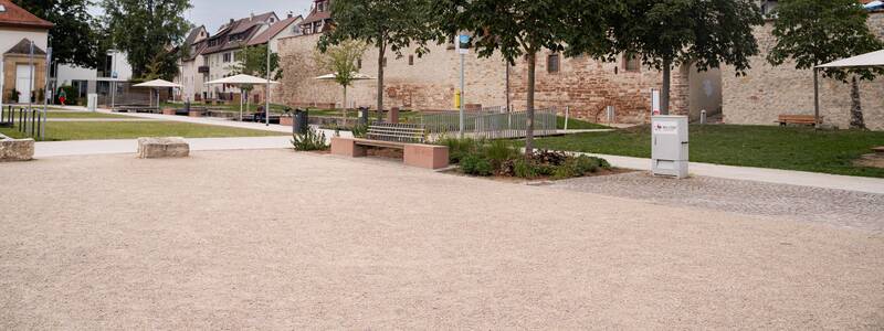 Ein Platz mit Bäumen, im Hintergrund die Stadtmauer und die Stadtkirche.