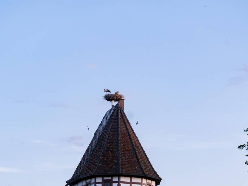 Auf dem alten Turm der Stadtmauer ist ein Storch in einem Nest.
